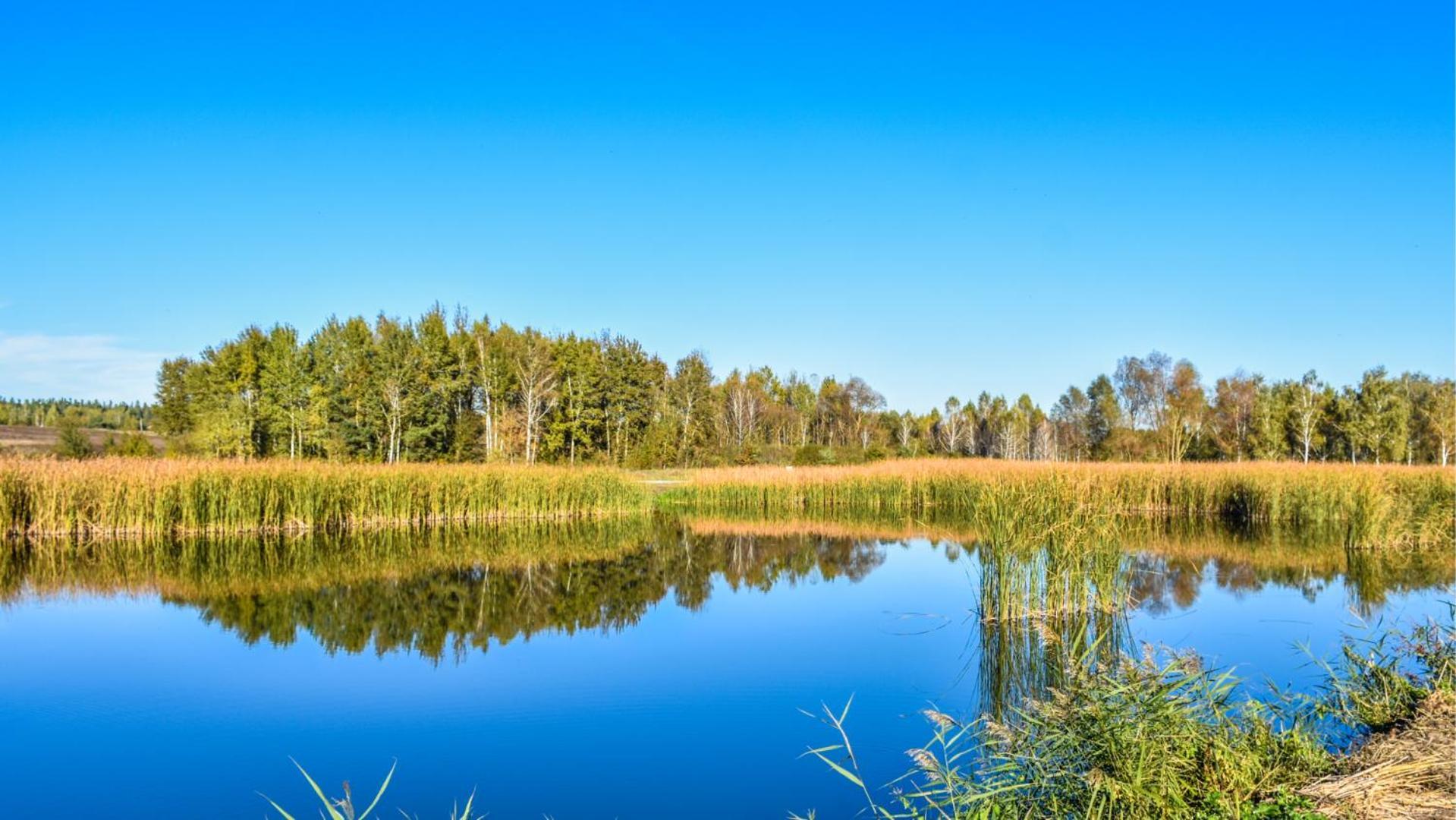 Sherwood Lake Hotel Березовка Экстерьер фото